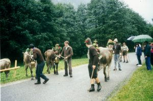 Germany pt3: Schwaebisch Gmuend