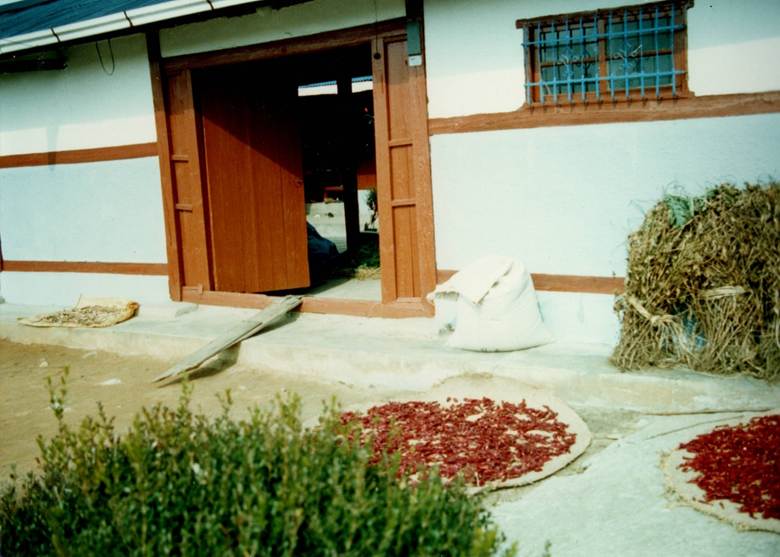 Red peppers being dried outside on mats