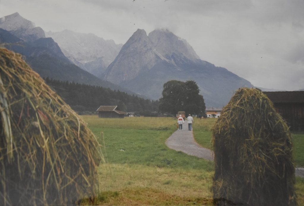 A path way through hay fields near the alps.