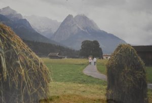 Walking Through the Seasons